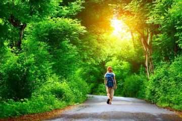 La Psicologia del Camminare: Il Legame tra Piedi e Mente
